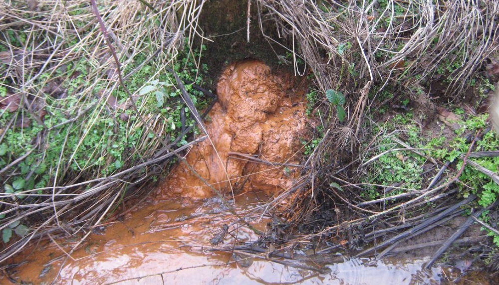 A blocked field drainage outfall